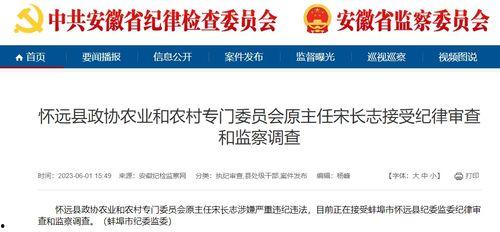 安徽怀远爆料最新新闻视频,视频揭示惊人事件，详情即将揭晓  第1张